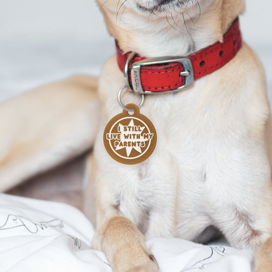 Live With My Parents - Star Dog Tag: Personalised Dog ID Collar Tag, Funny Custom Pet Safety Accessories, New Pet Essentials, Gift For Dog