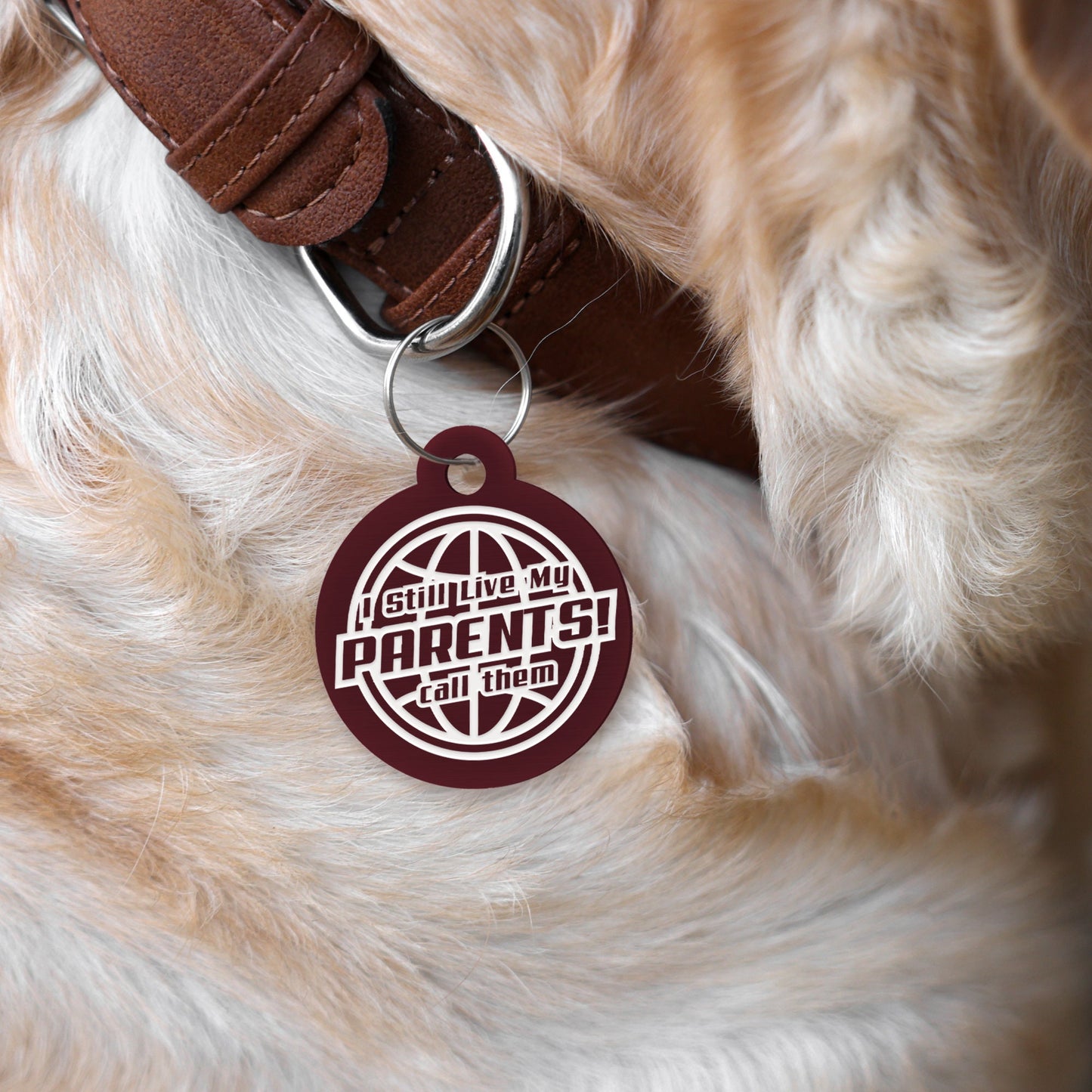 Live With My Parents - Globe Dog Tag: Personalised Dog ID Collar Tag, Funny Custom Pet Safety Accessories, New Pet Essentials, Dog Gift