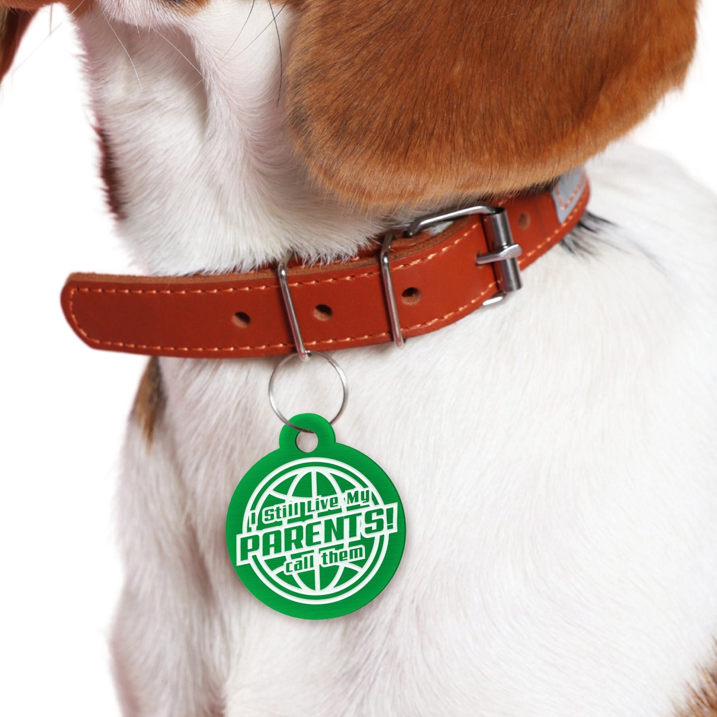 Live With My Parents - Globe Dog Tag: Personalised Dog ID Collar Tag, Funny Custom Pet Safety Accessories, New Pet Essentials, Dog Gift