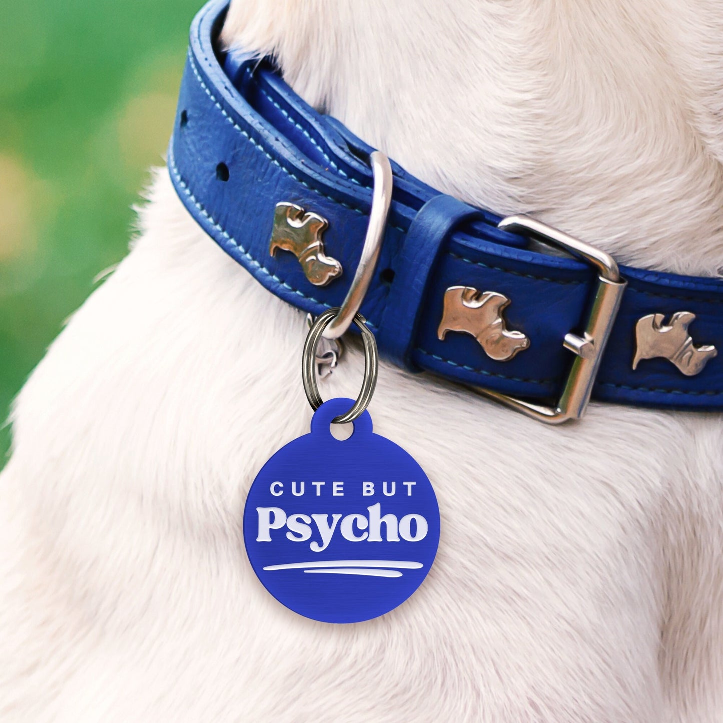 Cute But Psycho - Classic Dog Tag: Personalised Dog ID Collar Tag, Funny Custom Pet Safety Accessories, New Pet Essentials, Dog Gift