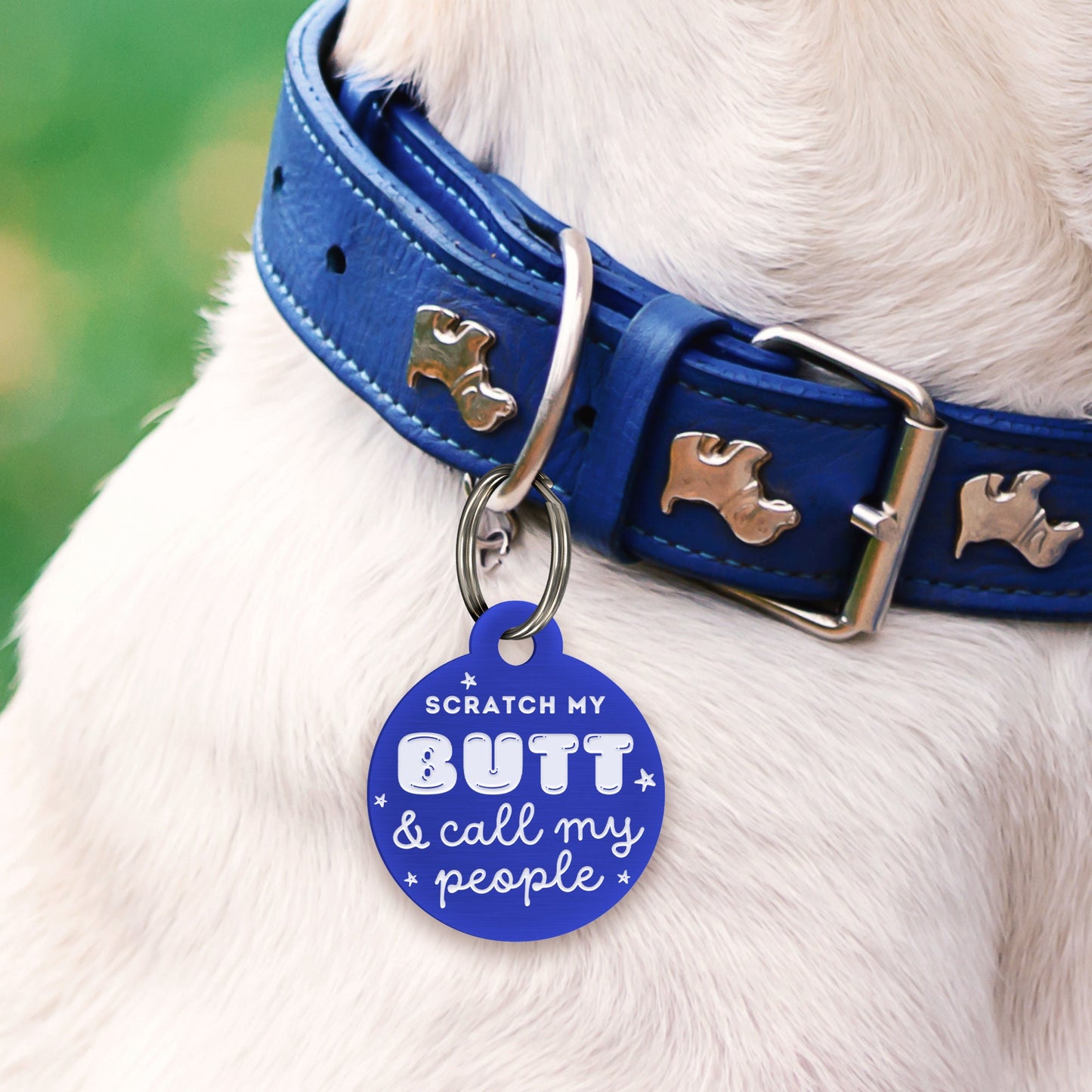 Scratch My Butt - Bubble Dog Tag: Personalised Dog ID Collar Tag, Funny Custom Pet Safety Accessories, New Pet Essentials, Dog Gift