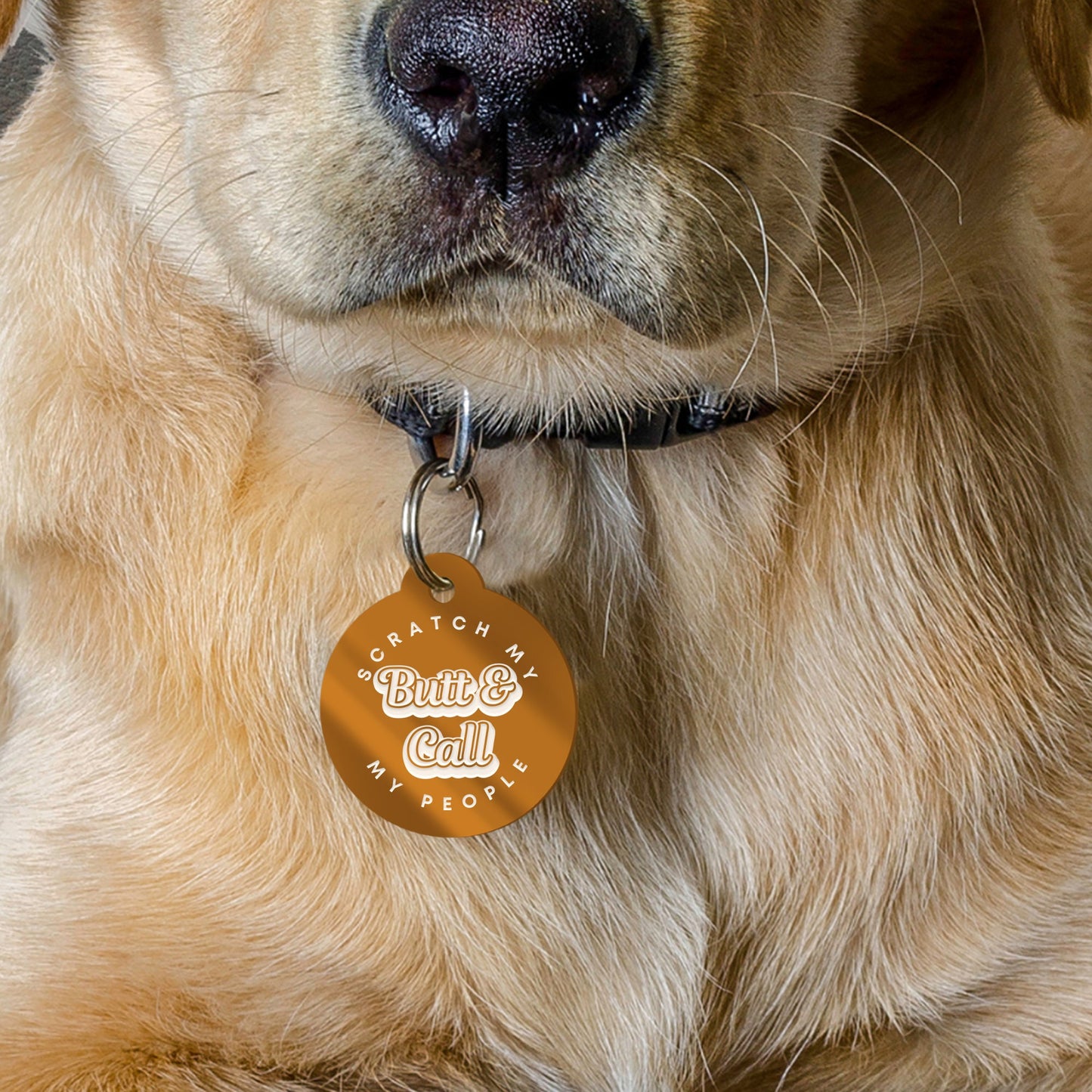 Scratch My Butt - Magnolia Dog Tag: Personalised Dog ID Collar Tag, Funny Custom Pet Safety Accessories, New Pet Essentials, Dog Gift