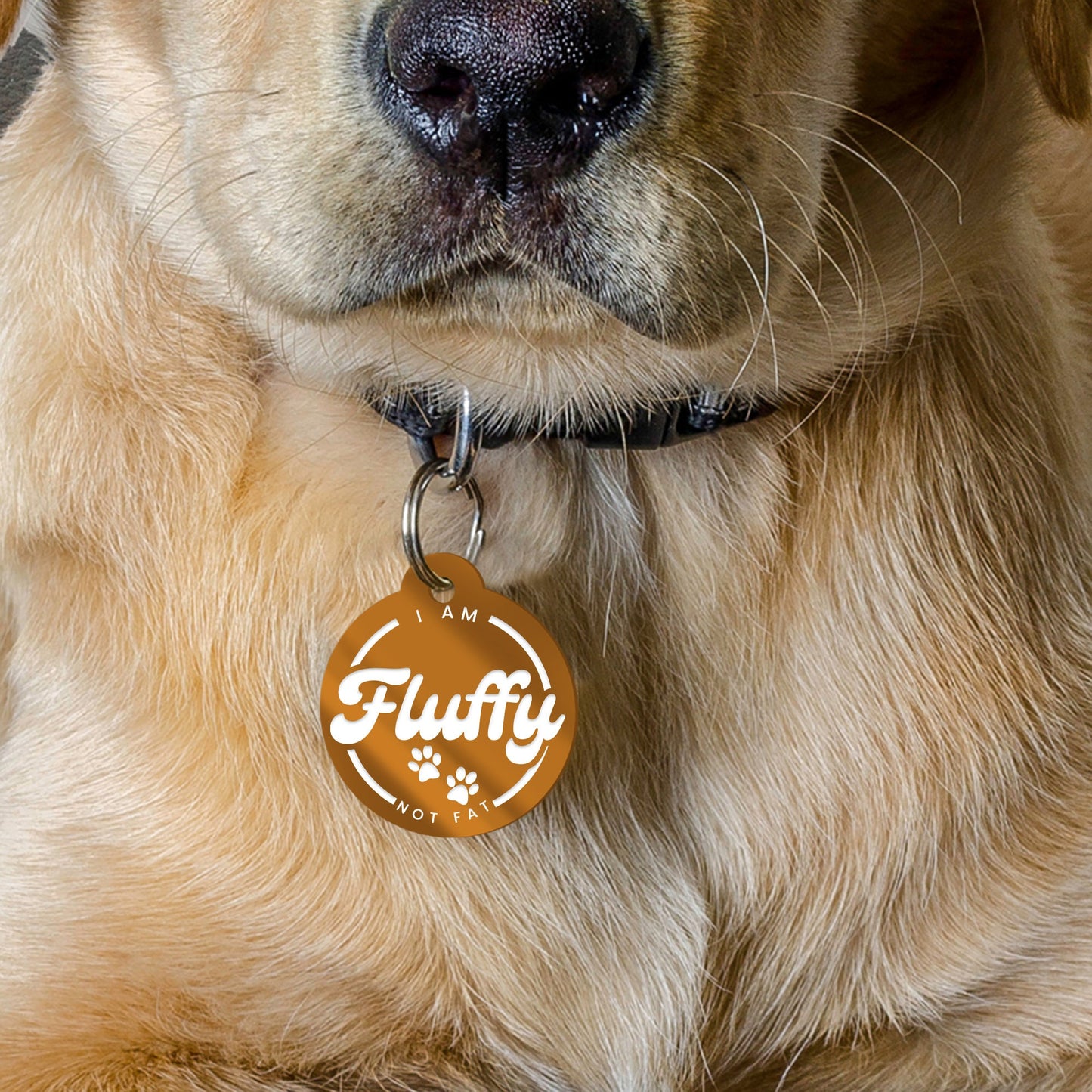 I'm Fluffy Not Fat - Paws, Personalised Dog ID Tag: Custom Pet Safety Accessories, Cheeky Unique Gift For Dog, Hilariously Unique Pet ID