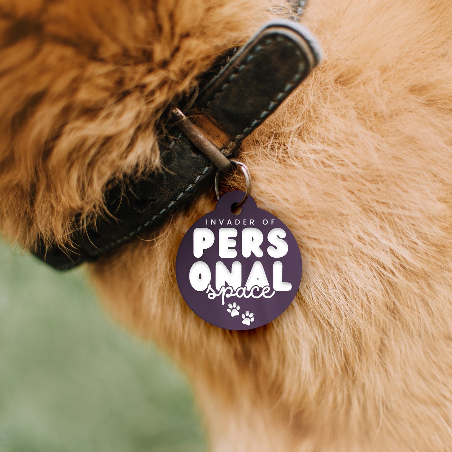 Invader Of Personal Space - Personalised Dog ID Tag: Custom Pet Safety Accessories, Cheeky Unique Gift For Dog, Hilariously Unique Pet ID
