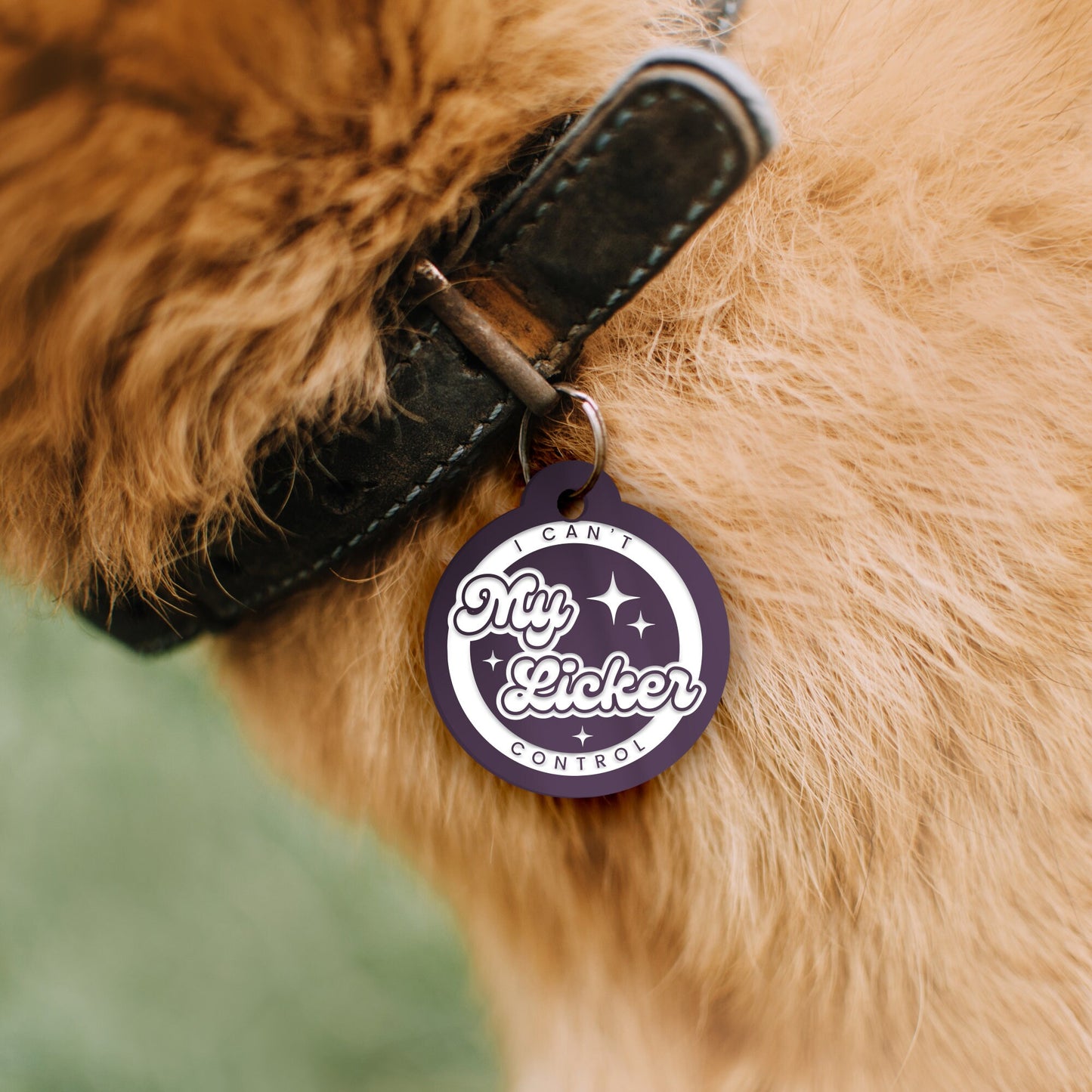 I Can't Control My Licker - Stars Personalised Dog Collar Tag: Funny Custom Pet Safety Accessories, New Pet Essentials, Unique Gift For Dog