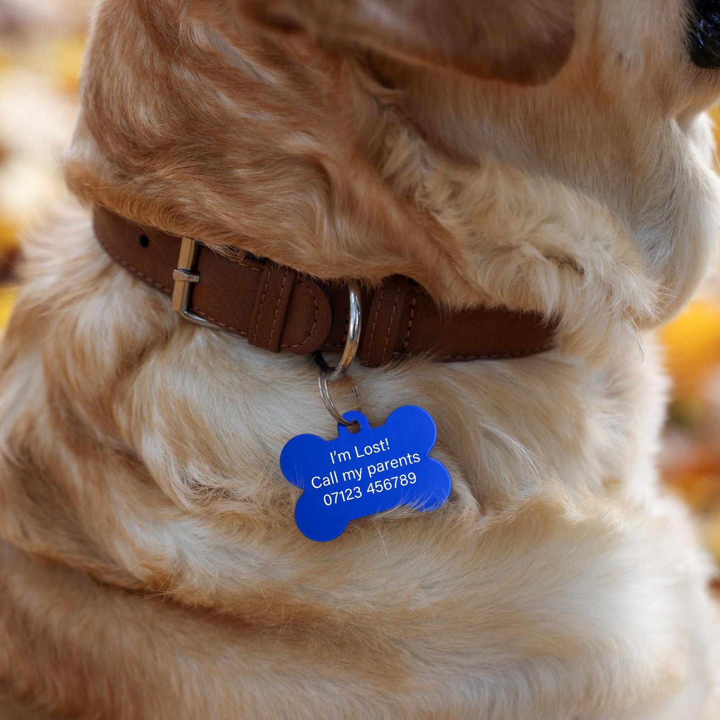 Personalised Metal Dog / Cat ID Tag for Collar - Engraved - 8 Colours - Split Ring included - Double Sided Option