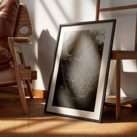 Spider web - photography poster: seasonal decor, fall wall art, spooky vibes print, halloween poster, autumnal home decor gift, spooky art