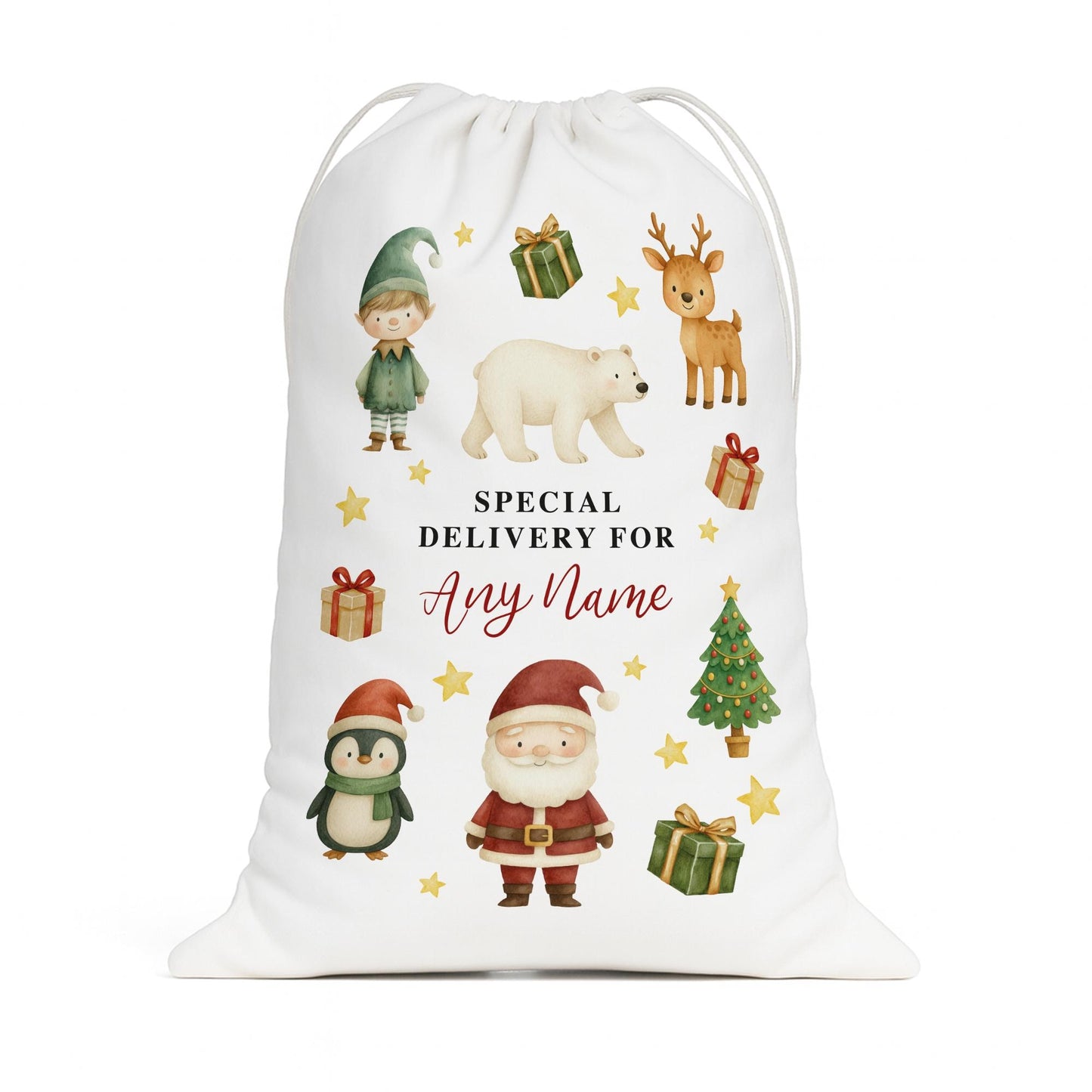 Personalised Christmas Santa Sack with Festive Characters  Custom Name Gift Bag