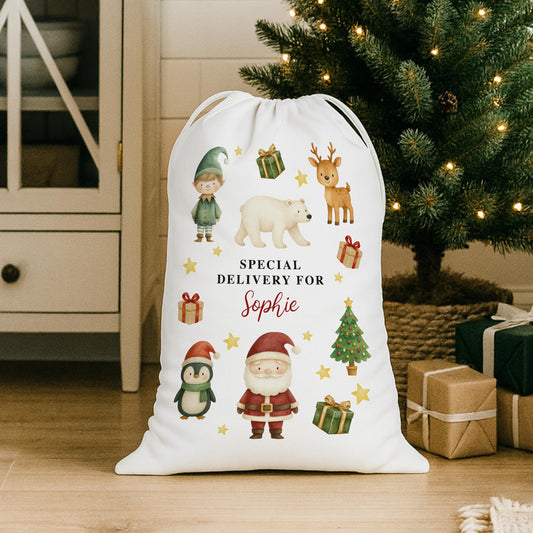 Personalised Christmas Santa Sack with Festive Characters  Custom Name Gift Bag