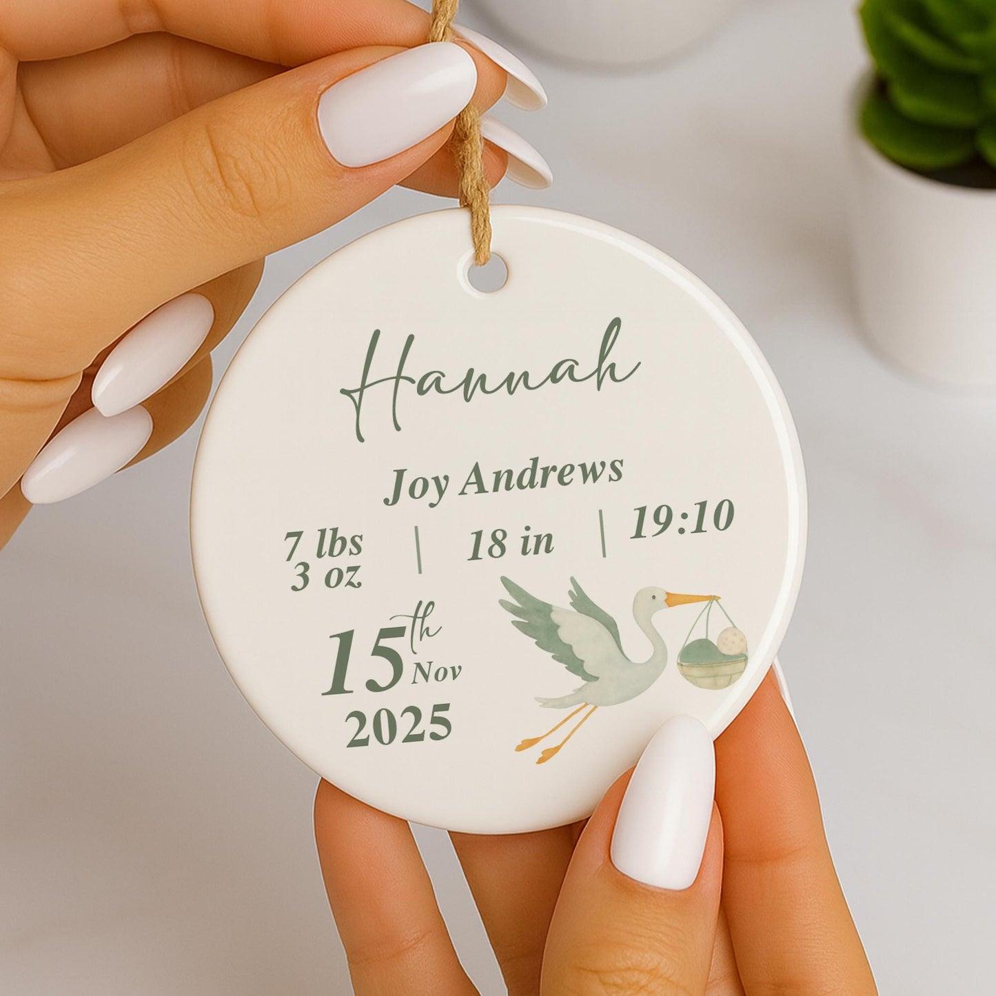 Personalised Baby Birth Stats Ornament | Stork Newborn Baby Shower Gift | Nursery Decor
