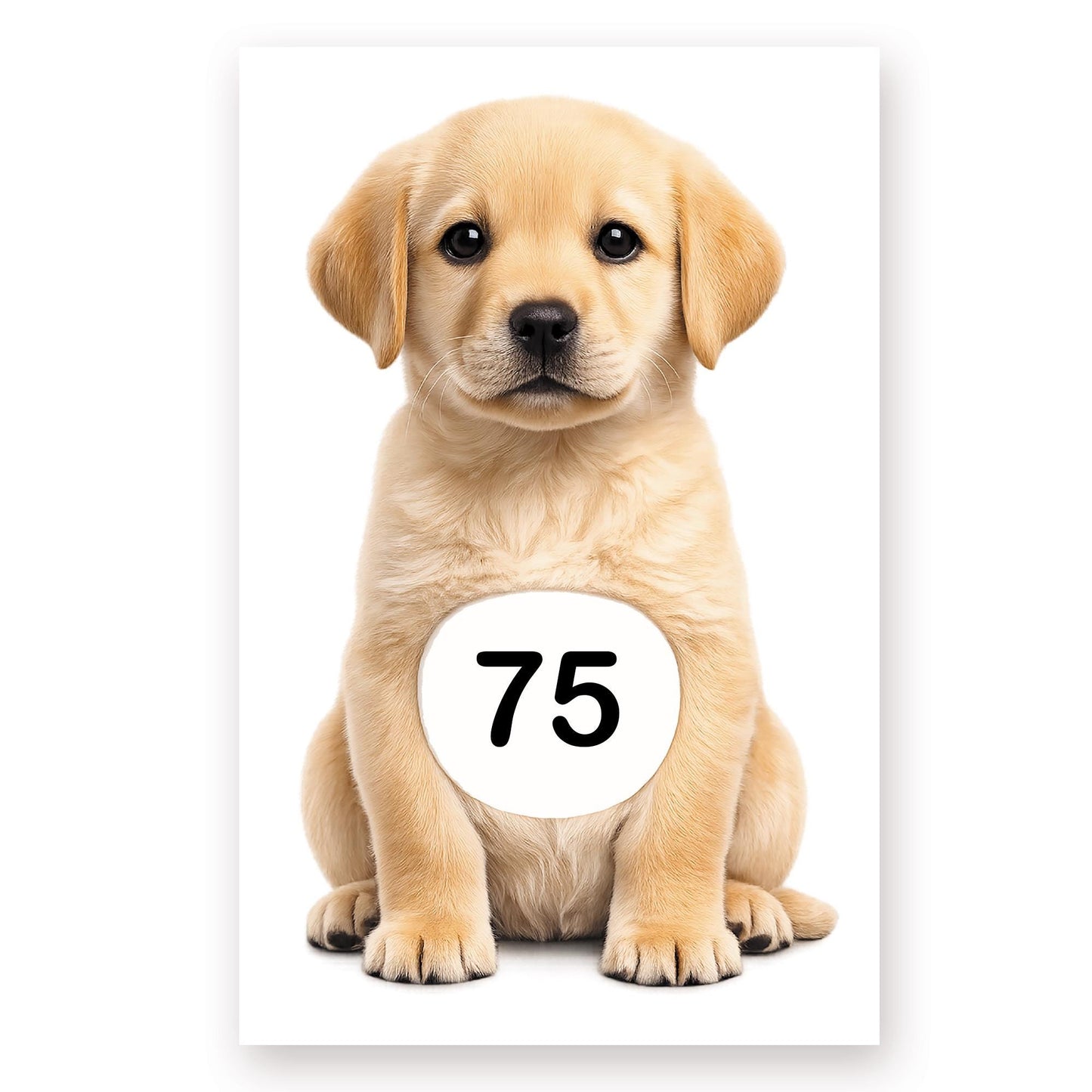 Personalised Wheelie Bin Sticker | Cute Labrador House Number Bin Decal | Dog Waterproof Vinyl Dustbin Label
