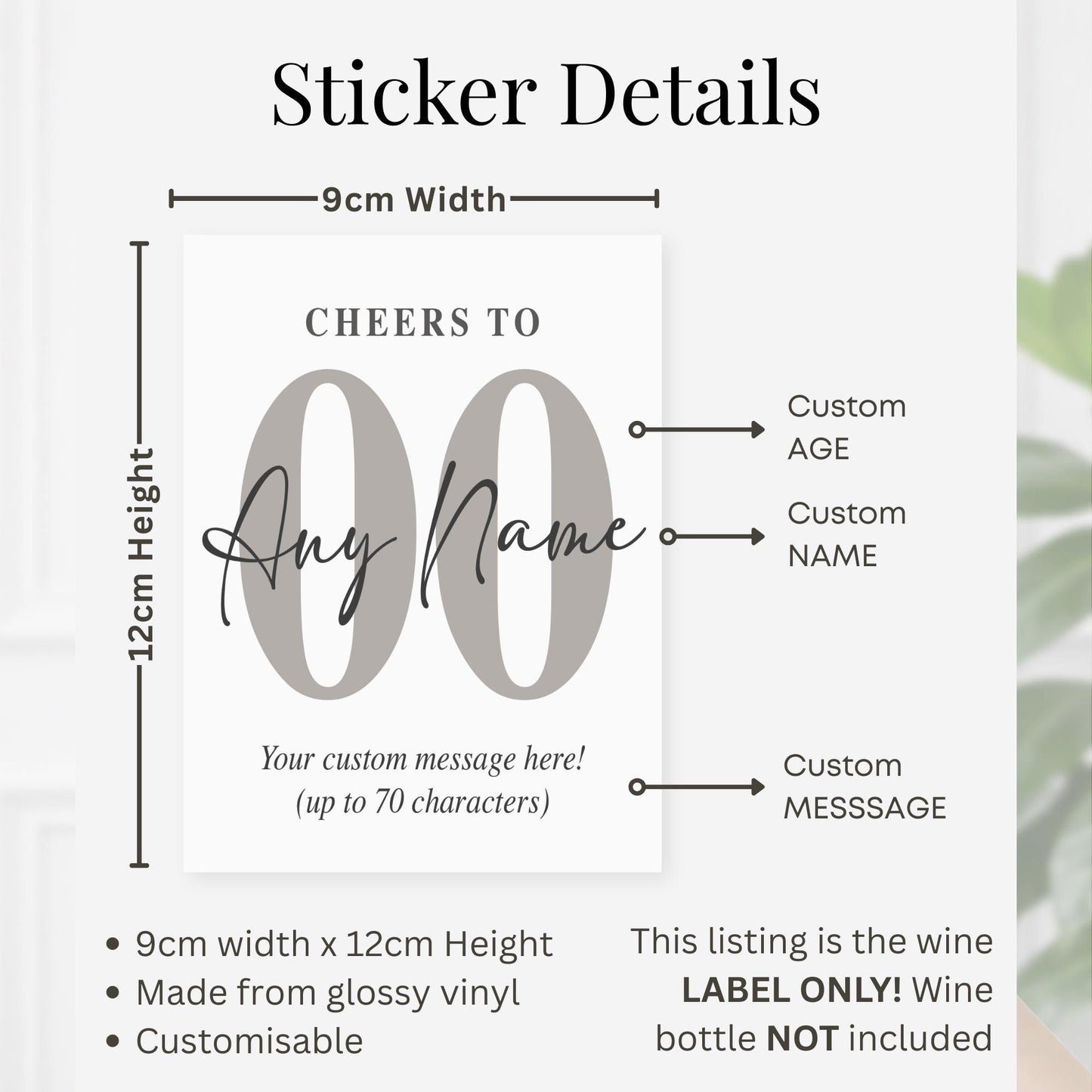 Personalised Wine Bottle Label | Cheers To Birthday Sticker | Custom Age & Name Wine Label | 30th 40th 50th Birthday Gift