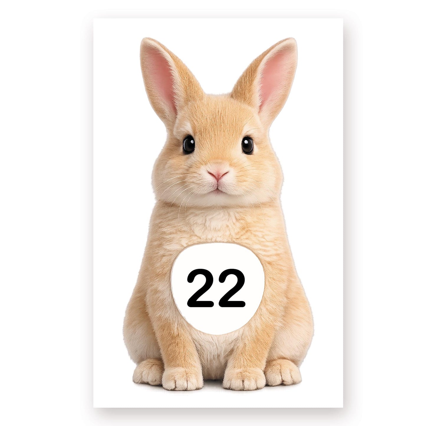 Personalised Wheelie Bin Sticker | Cute Rabbit House Number Bin Decal | Waterproof Vinyl Dustbin Label