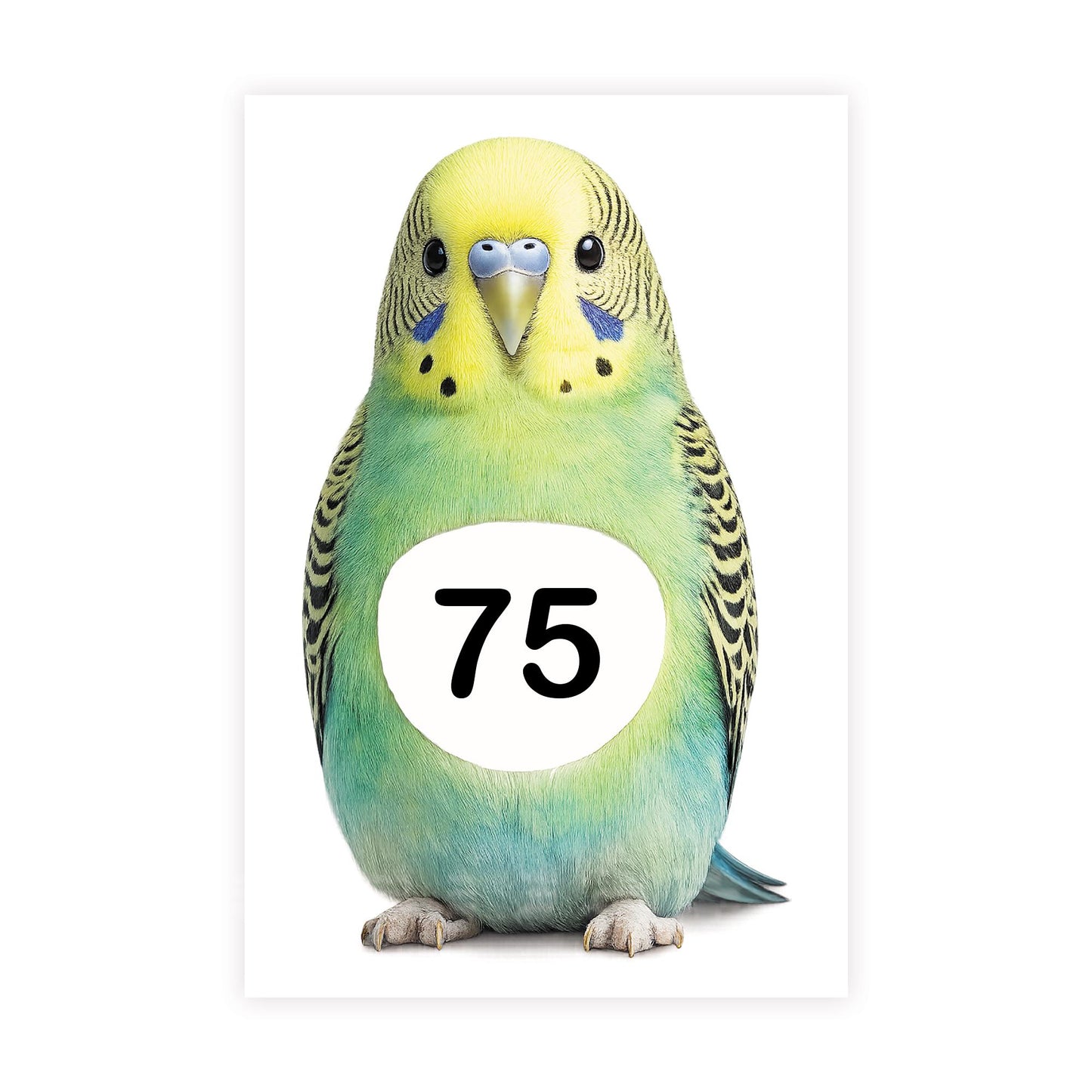 Personalised Wheelie Bin Sticker | Budgie House Number Decal | Waterproof Bird Outdoor Dustbin Label