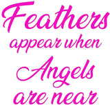 Feathers Appear When Angels are Near - Vinyl Wall Art Sticker - Various Colours & Sizes Available